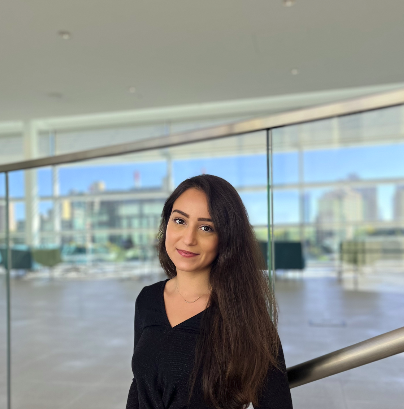 Beste Uygur portrait